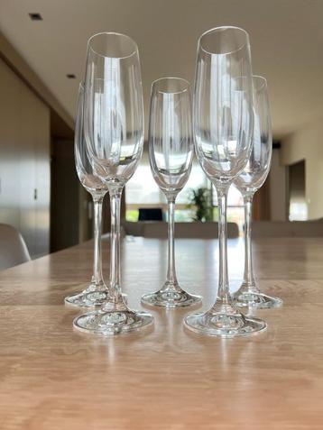 NACHTMANN - 5 luxe champagneglazen van 23,5 cm hoog - NIEUW beschikbaar voor biedingen