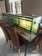 Terrarium 125x40x50H, Ophalen, Gebruikt