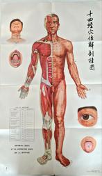 6 tableaux d'école orientale 106cm x 66cm, Enlèvement ou Envoi