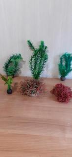 Decoratie ayuarium plantjes, Dieren en Toebehoren, Ophalen of Verzenden, Zo goed als nieuw