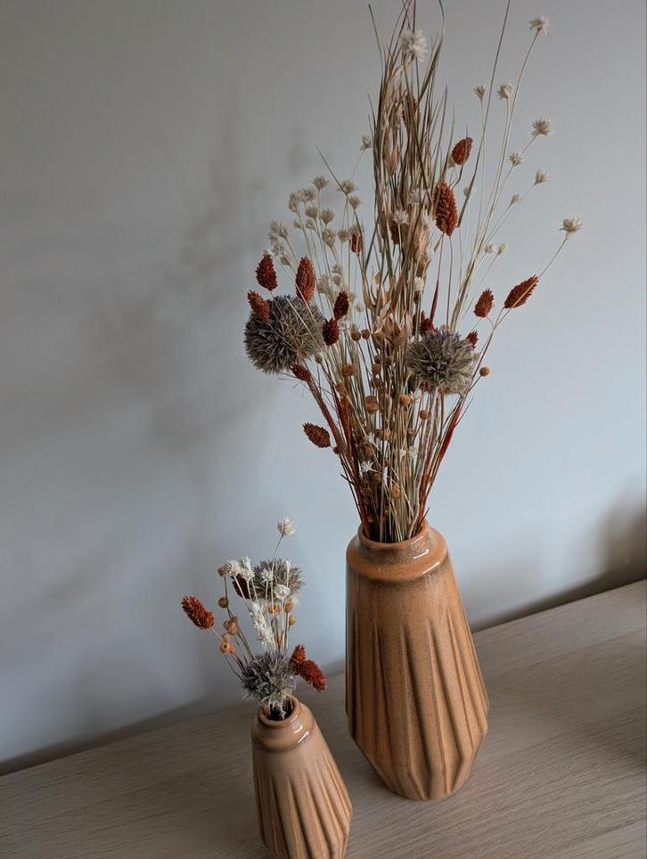 Droogbloemen, Huis en Inrichting, Woonaccessoires | Droogbloemen, Nieuw, Ophalen