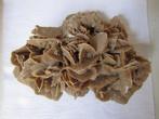Fantastische gefossiliseerde „Sand Rose” van 2,6 kg, Verzamelen, Ophalen of Verzenden, Fossiel