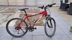 Mountain bike te koop, Fietsen en Brommers, Fietsen | Mountainbikes en ATB, Ophalen, Gebruikt, Hardtail, Heren