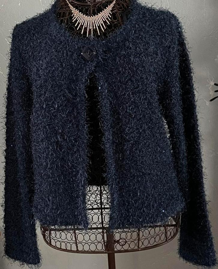 Damart S mooie korte gilet Nieuwstaat, Kleding | Dames, Truien en Vesten, Zo goed als nieuw, Maat 36 (S), Blauw, Ophalen of Verzenden