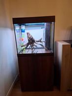 Te koop aquarium juwel lido120l, Dieren en Toebehoren, Ophalen
