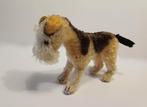 Mooie oude Steiff fox terrier, Ophalen of Verzenden