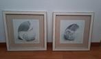 2 kaders met schelp, Antiek en Kunst, Kunst | Schilderijen | Klassiek, Ophalen