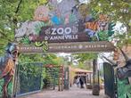 4 Entrées adultes zoo Amnéville, Tickets & Billets