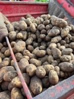 palox aardappelen Fontana, Zakelijke goederen, Landbouw | Aardappelen, Groenten, Fruit en Vlees, Ophalen