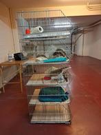 Stapelrek in 5 delen (modules), heel stevig, Ophalen