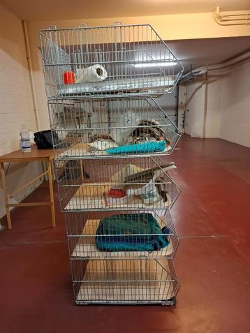 Stapelrek in 5 delen (modules), heel stevig beschikbaar voor biedingen