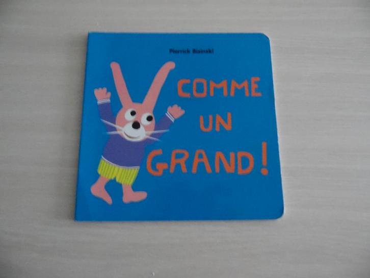COMME UN GRAND, Livres, Livres pour enfants | 0 an et plus, Comme neuf, 2 à 3 ans, Enlèvement ou Envoi