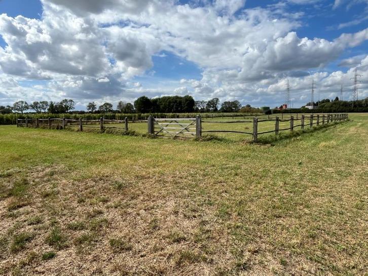 omheining voor weide in acacia hout, Dieren en Toebehoren, Stalling en Weidegang