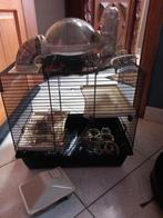 2 kooien voor hamsters met alle toebehoren., Dieren en Toebehoren, Ophalen, Kooi