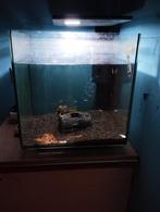 aqarium 40 liter, Dieren en Toebehoren, Ophalen