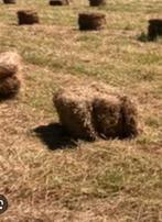 Kleine botten hooi, Dieren en Toebehoren, Ophalen