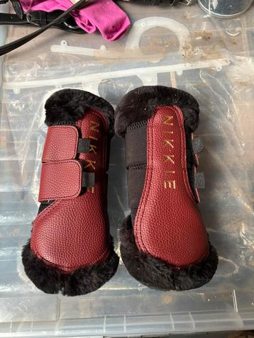 Paardenspullen te koop beschikbaar voor biedingen