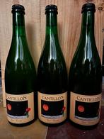 Cantillon foufoune 3 flessen ( 1 van 2020), Ophalen of Verzenden, Zo goed als nieuw