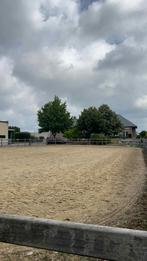 1 stal te huur ( Bilzen), Dieren en Toebehoren, Stalling