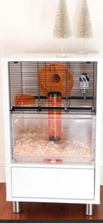 Hamsterkooi Omlet, Animaux & Accessoires, Enlèvement, Neuf