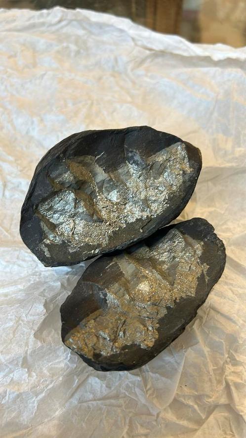 Pyriet in zwarte schalie Serre-Poncon Frankrijk, Verzamelen, Mineralen en Fossielen, Ophalen of Verzenden