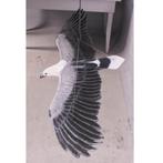 White Breasted Sea Eagle beeld – Zeearend Breedte 185 cm, Nieuw, Ophalen of Verzenden