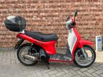 Honda Scoopy NT, rijdend met papieren, Ophalen, Gebruikt, Overige modellen, Klasse B (45 km/u)