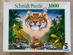 Puzzel 3000 stukjes, Hobby en Vrije tijd, Ophalen of Verzenden, Meer dan 1500 stukjes, Zo goed als nieuw, Legpuzzel