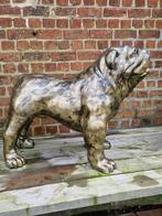 Engelse Bull dog NIEUW!!, Jardin & Terrasse, Statues de jardin, Enlèvement, Neuf