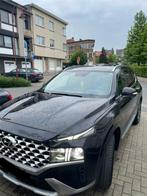 Gezinsauto met 7 zitplaatsen, Auto's, Te koop, 5 deurs, Santa Fe, Overige carrosserie