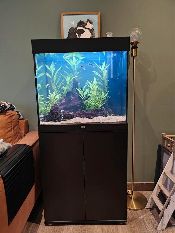 Juwel lido 120, Animaux & Accessoires, Poissons | Aquariums & Accessoires, Enlèvement