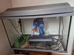 aquarium 55x30x30, Ophalen, Gebruikt, Leeg aquarium