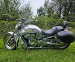 V ROD, 2 cilinders, Chopper, 1130 cc, Particulier