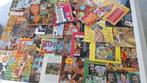 Lot collectie verzameling platen lp vlaams Schlager Pop, Cd's en Dvd's, Ophalen of Verzenden, Gebruikt, Pop
