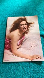 Brochure Bette Midler vintage, Comme neuf, Enlèvement ou Envoi
