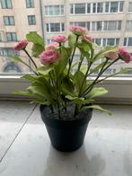 Fleurs artificielles, Enlèvement, Comme neuf