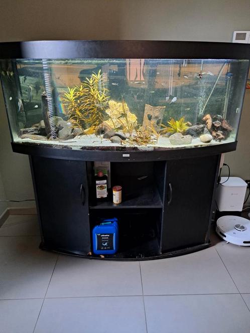 Aquarium Juwel Vision 450 liter, Dieren en Toebehoren, Vissen | Aquaria en Toebehoren, Zo goed als nieuw, Ophalen