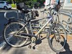 Fiets Terra Nova, 57 tot 61 cm, Ophalen, Gebruikt, Overige merken
