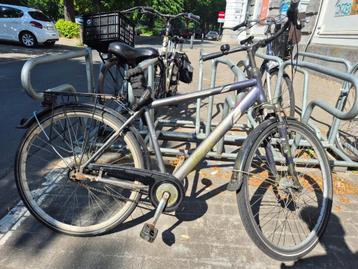 Fiets Terra Nova beschikbaar voor biedingen