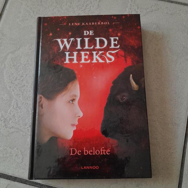 Lene Kaaberbøl - De belofte, Boeken, Kinderboeken | Jeugd | onder 10 jaar, Zo goed als nieuw, Ophalen