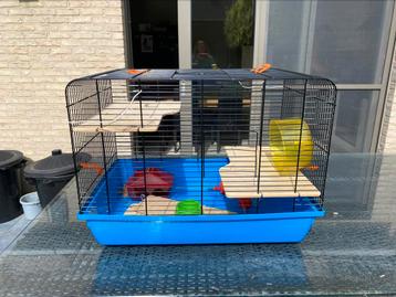 Belle cage à hamster