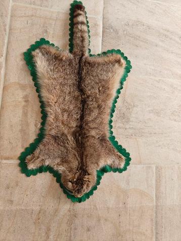 vintage wilde kattenhuidkleed uit de jaren 60  beschikbaar voor biedingen