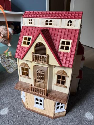 Sylvanian landhuis beschikbaar voor biedingen