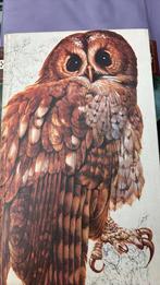 Het beste vogelboek, Ophalen, Zo goed als nieuw