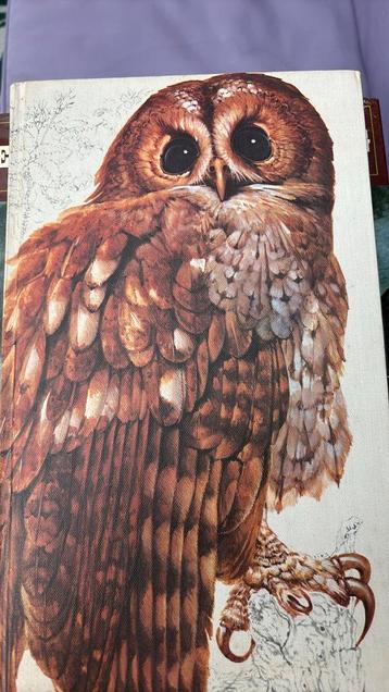 Het beste vogelboek beschikbaar voor biedingen