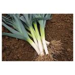 Prei te koop, Enlèvement