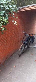 Byciclette Femme, Enlèvement