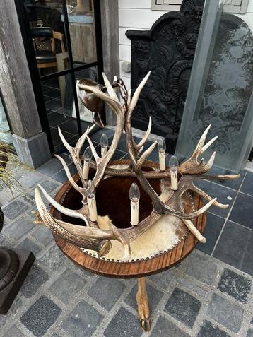 Hertengewei luster kroonluchter lamp, Enlèvement ou Envoi
