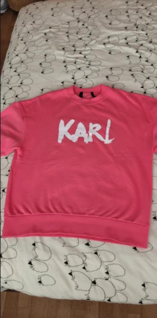 Sweat-shirt Karl Lagerfeld, Vêtements | Hommes, Pulls & Vestes, Comme neuf, Taille 52/54 (L), Rose, Enlèvement ou Envoi