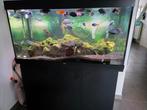 Aquarium rio 350, Ophalen, Zo goed als nieuw
